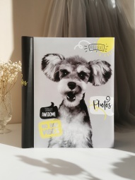 FA магн.10л 23х28, спираль, fluffy pets Гав